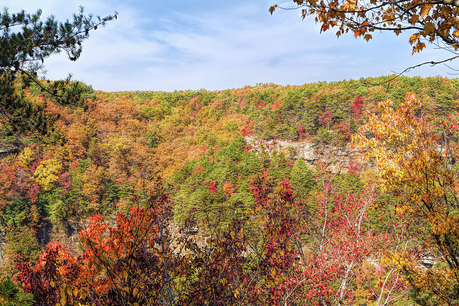 Fall Photograph - Colors Across Cloudland Canyon by John M Bailey
