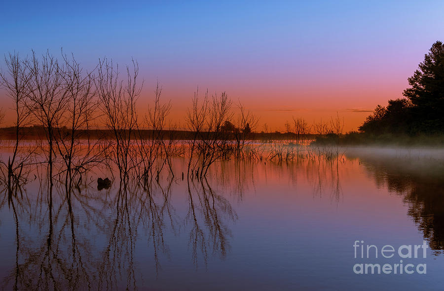 Colors of a Sunrise Photograph by Sandra Js