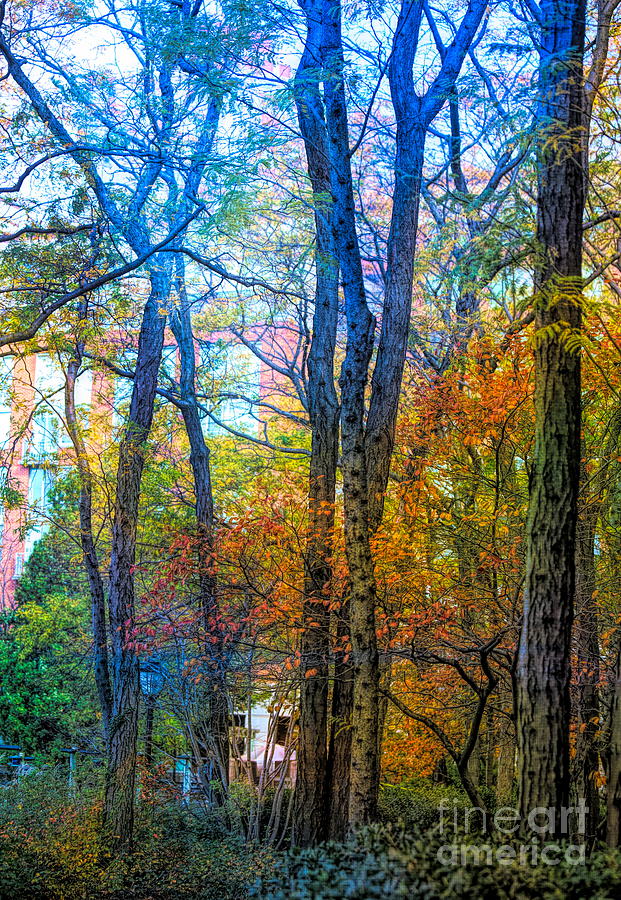 Colors of Autumn  Digital Art by Chuck Kuhn