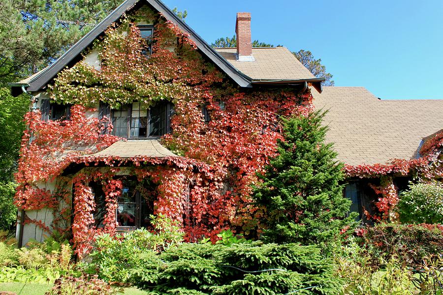 Colors Of Autumn In Bar Harbor Maine Photograph By Rose Webber Hawke