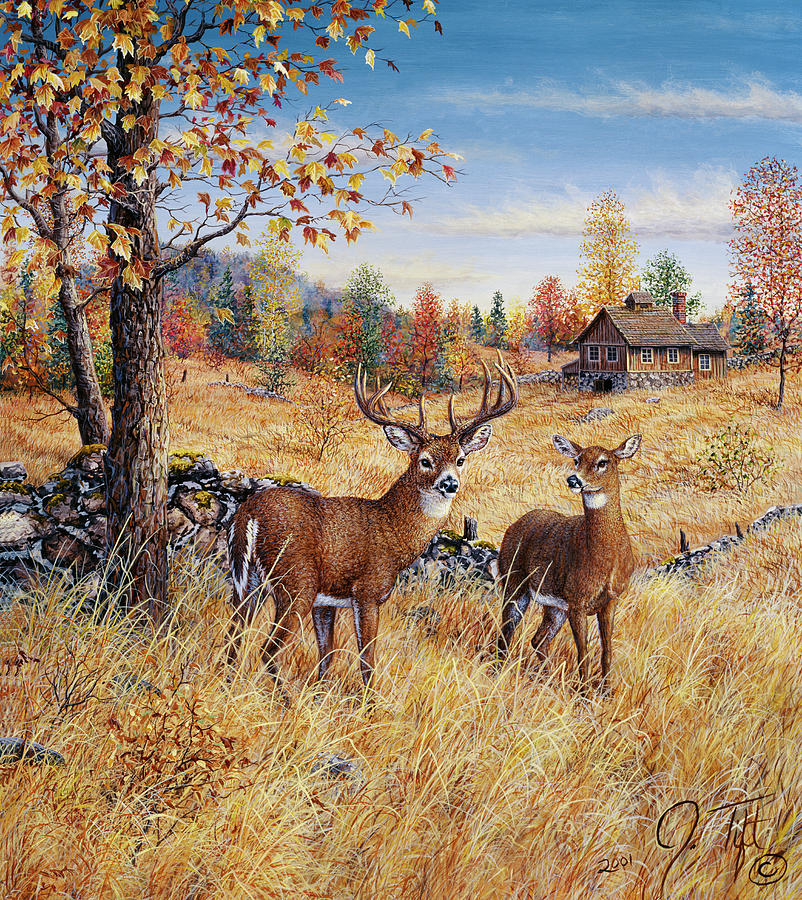 Colors Of Autumn Painting by Jeff Tift | Fine Art America