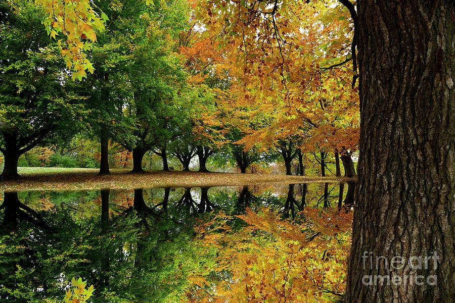 Colors of Autumn Reflections Photograph by Sandra Js