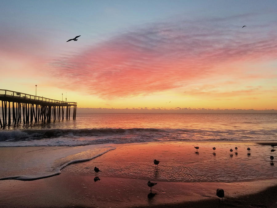 Bird Photograph - Colors of Dawn by Robert Banach