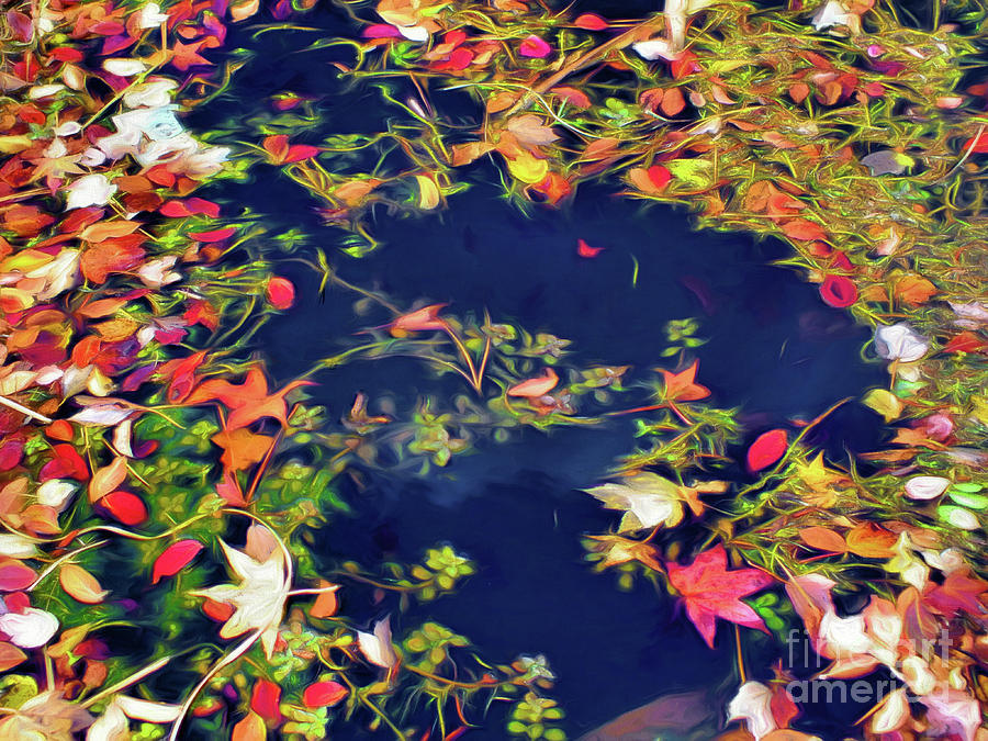 Colors of Fall- Abstract Landscape Photograph by Scott Cameron