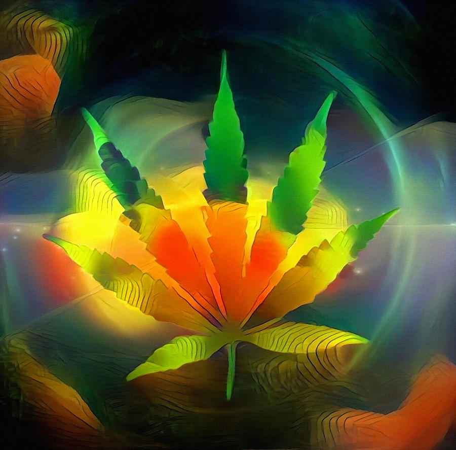 Colors of Marijuana Digital Art by Bruce Rolff | Fine Art America