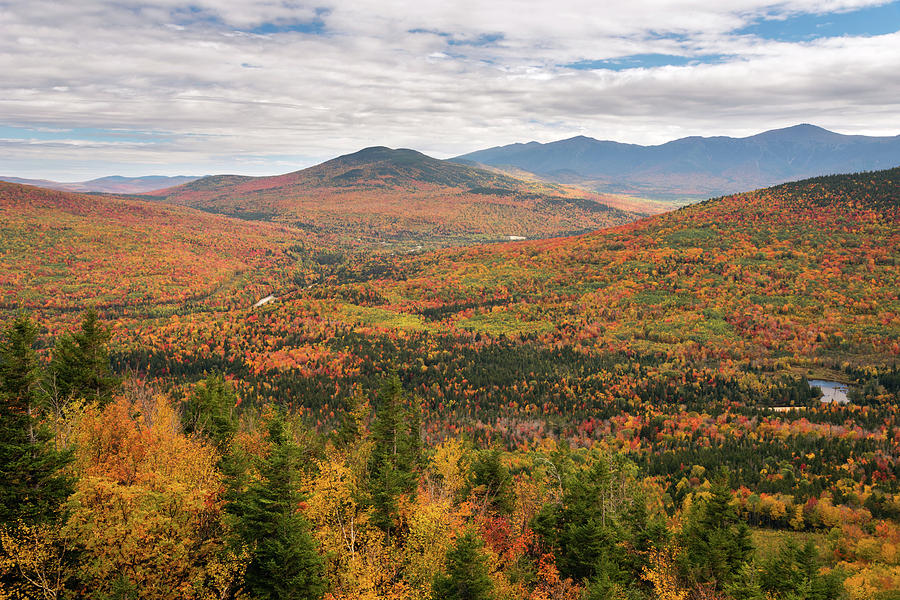 What Color Is New Hampshire