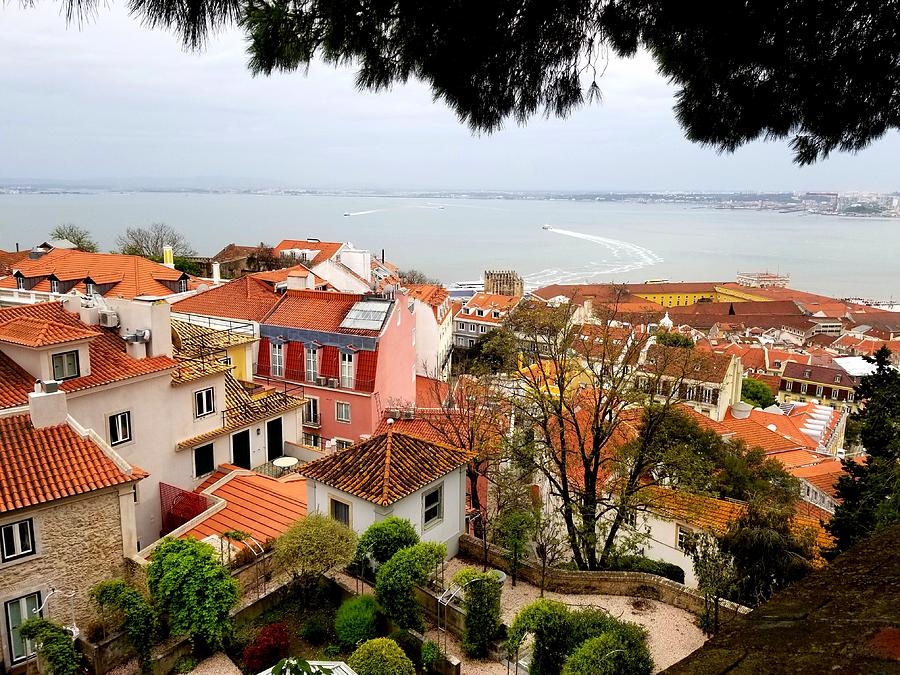 Colors of Portugal Photograph by Steed Edwards