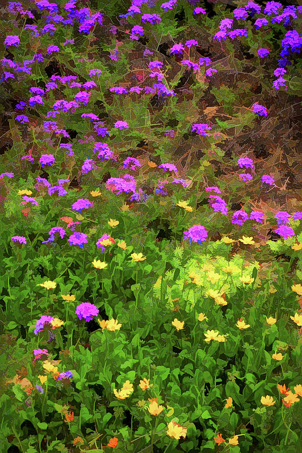 Flower Digital Art - Colors Of Spring by Robert Meyerson