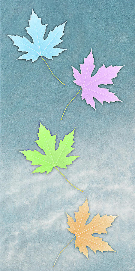 Colors of The Seasons by Reynaldo Williams Colors of The Seasons by Reynaldo Williams