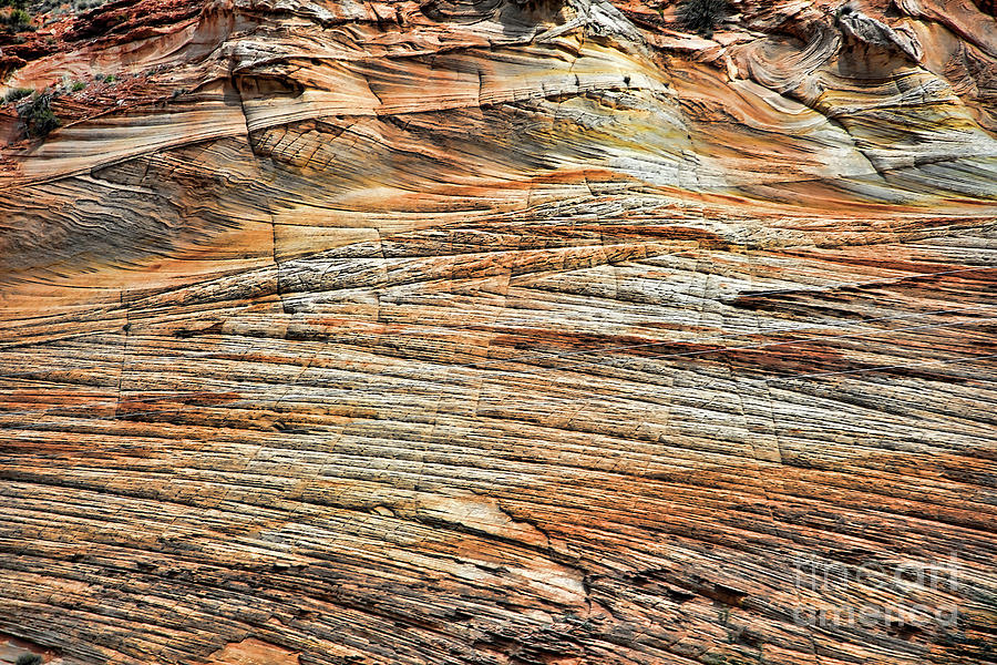 Colors of Zion Up Close Textures  Photograph by Chuck Kuhn