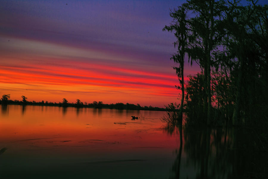 Colors on the Waccamaw Photograph by Joe Granita - Fine Art America