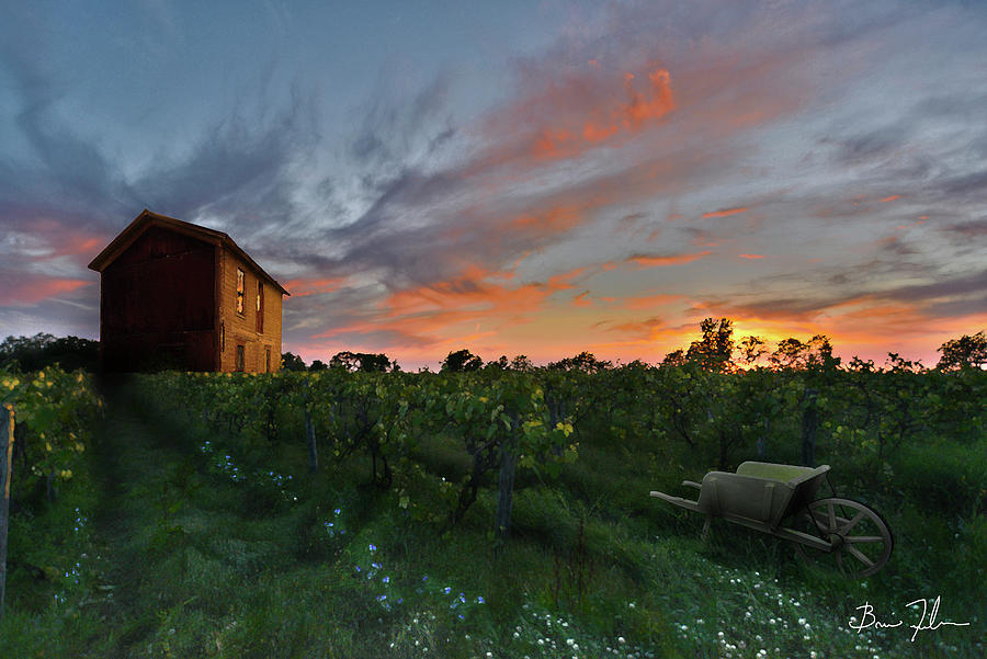 Barn Photograph - Colors Over The Vineyard by Fivefishcreative