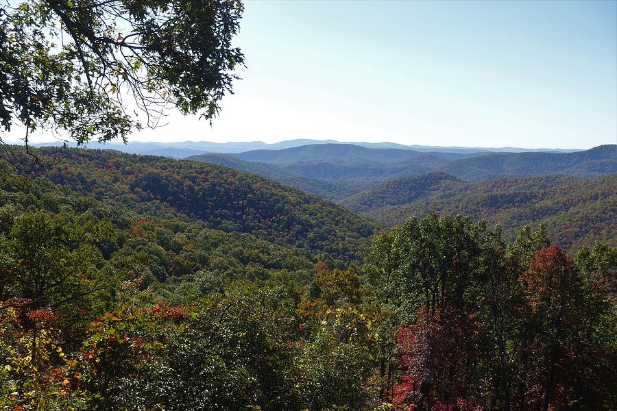 Colors Starting to Change on the Blue Ridge Photograph by Patricia Caron