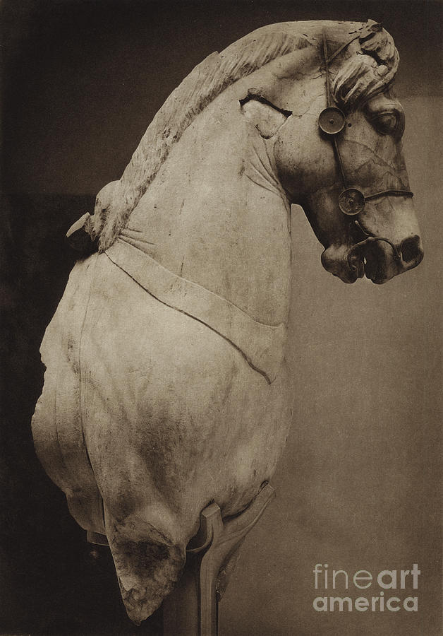 Colossal Horse From The Mausoleum Photograph by English Photographer