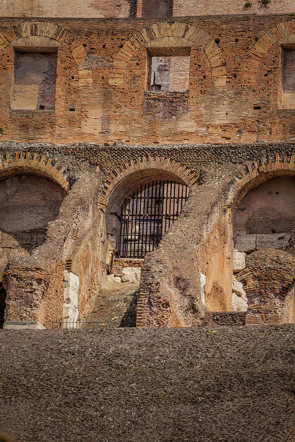 Colosseum Doors And Windows 2 Photograph