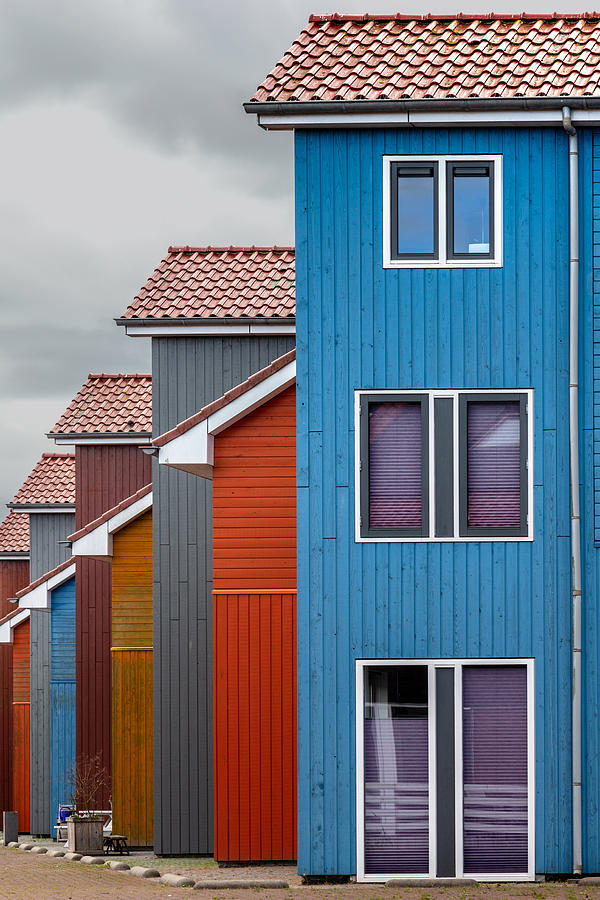 Colour Row Photograph by Theo Luycx