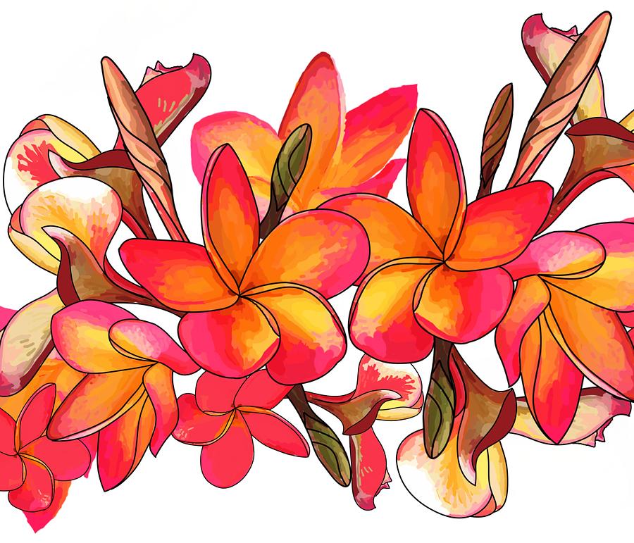 Coloured Frangipani white bkgd3 Drawing by Joan Stratton