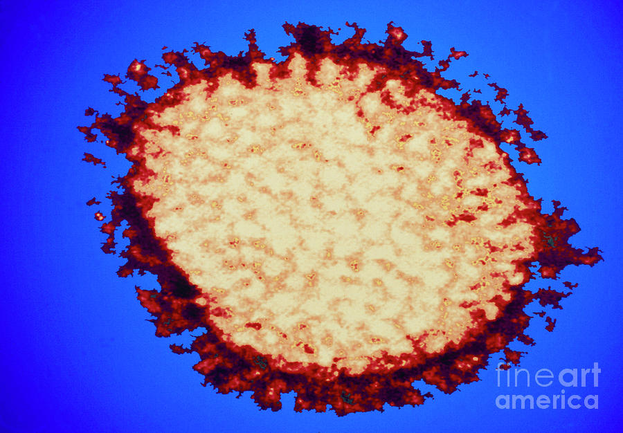 Coloured Tem Of Influenza Virus Photograph by Astrid & Hanns-frieder Michler/science Photo Library