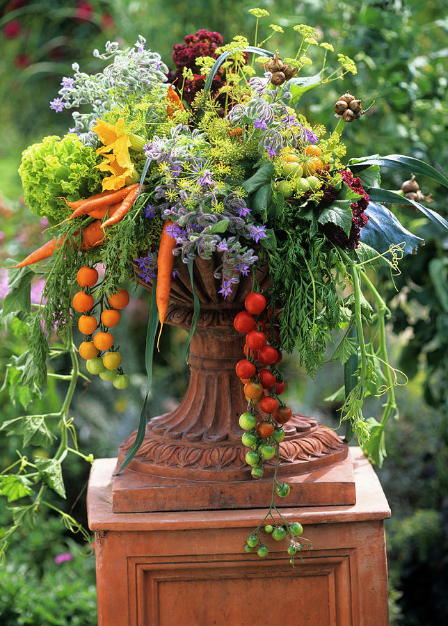 Colourful Arrangement Of Vegetables In Terracotta Vase Photograph by Friedrich Strauss