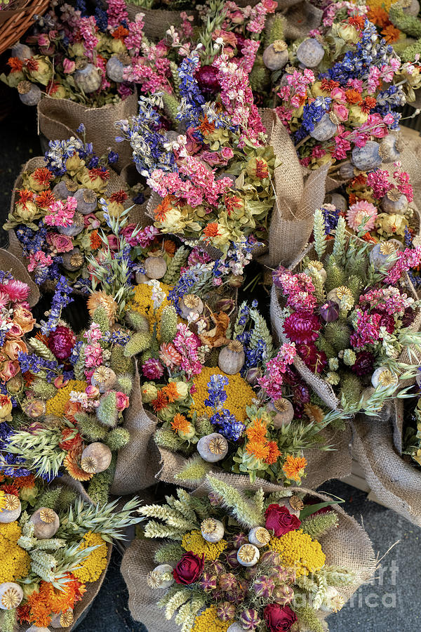 Colourful Dried Flower Bouquets Photograph by Tim Gainey