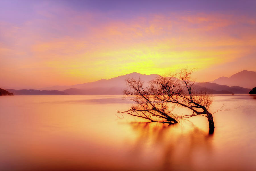 Colourful Lake With Single Tree Photograph by Wan Ru Chen