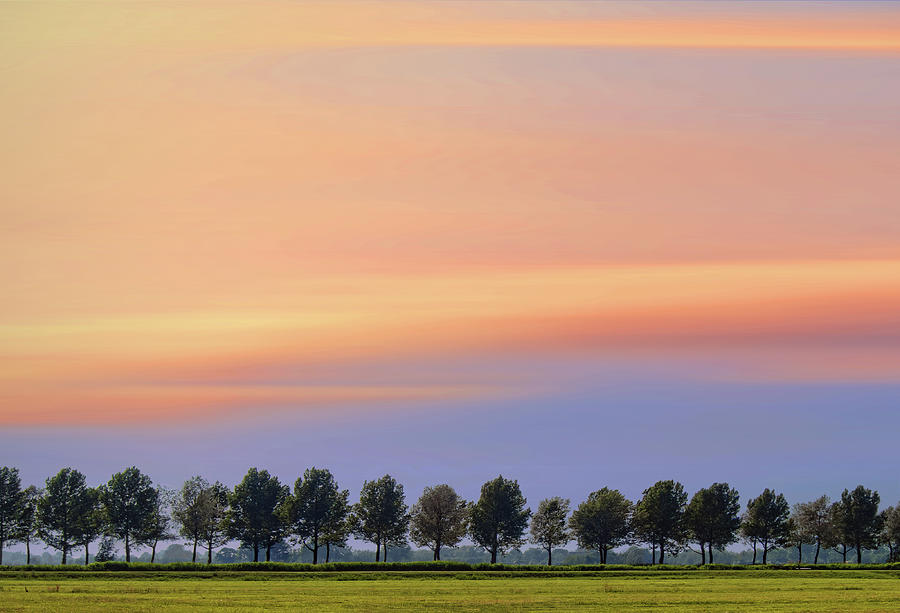Colourful Moving Sky With Lined Up Trees Photograph by Wim Koopman