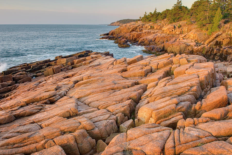Colourful Pink Granite Of Otter Point Photograph by Alan Majchrowicz