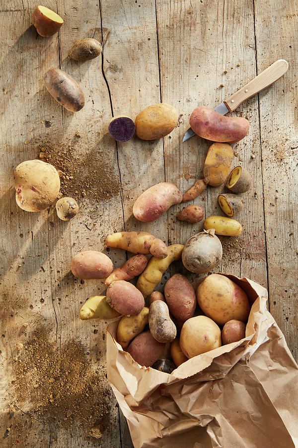 Colourful Potatoes With A Knife On A Wooden Base Photograph by Jennifer Braun