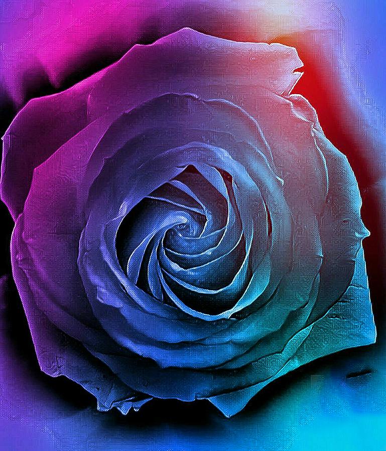 Colourful Rose Mixed Media