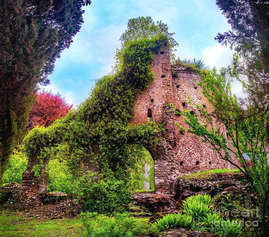 Colourful Ruins Ivy Plants Garden Abandon Photograph by Luca Lorenzelli