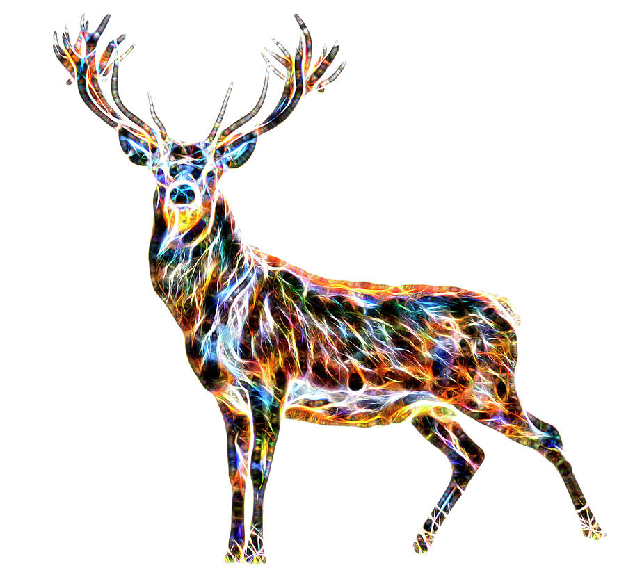 Nature Digital Art - Colourful Stag by Scott Carruthers