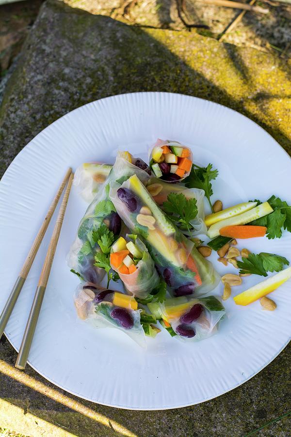 Colourful Summer Rolls With Vegetables asia Photograph by Leah Bethmann