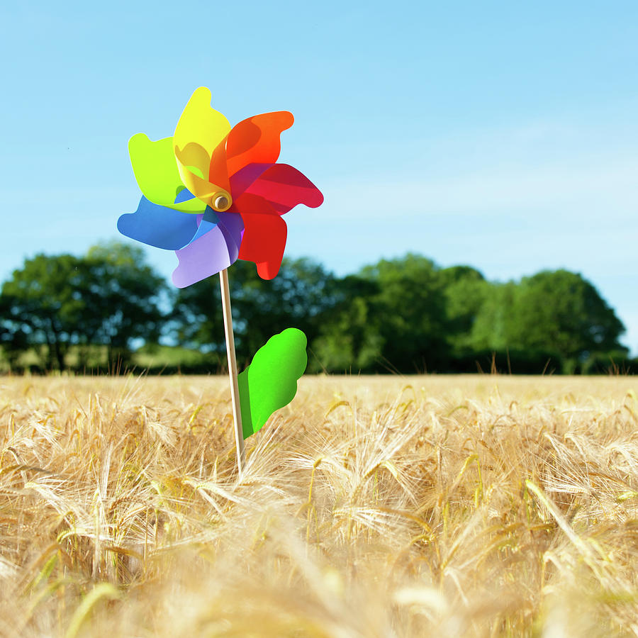 Colourful Windmill in a field of Corn Photograph by Helen Jackson