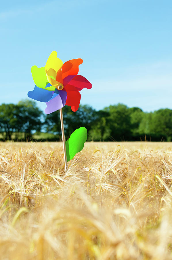 Colourful Windmill in a field of Corn ii Photograph by Helen Jackson