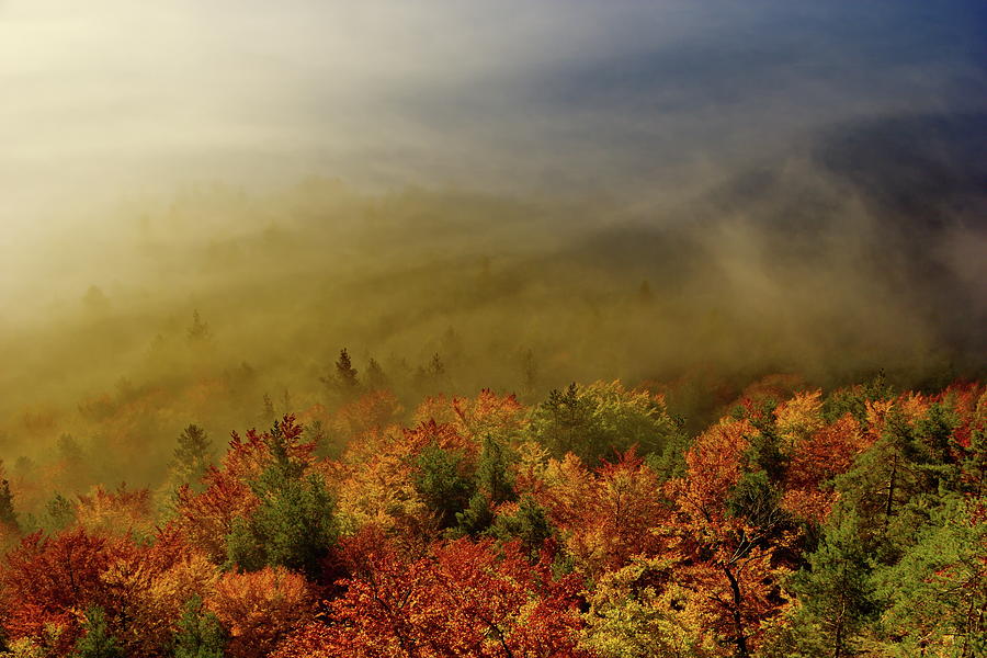 colours of autumn by Ren Kuljovska colours of autumn by Ren Kuljovska