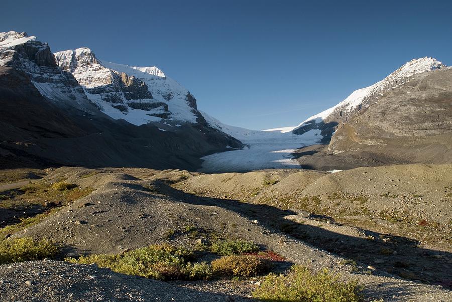 Columbia Icefield, Mount Athabasca Photograph by Design Pics / Philippe Widling
