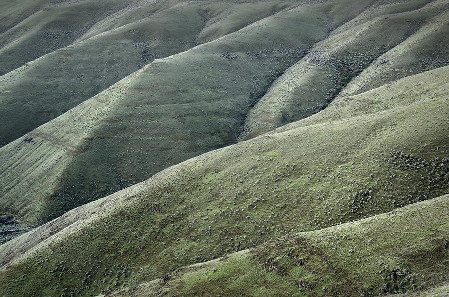 Abstract Photograph - Columbia Plateau Oregon by Alan Majchrowicz