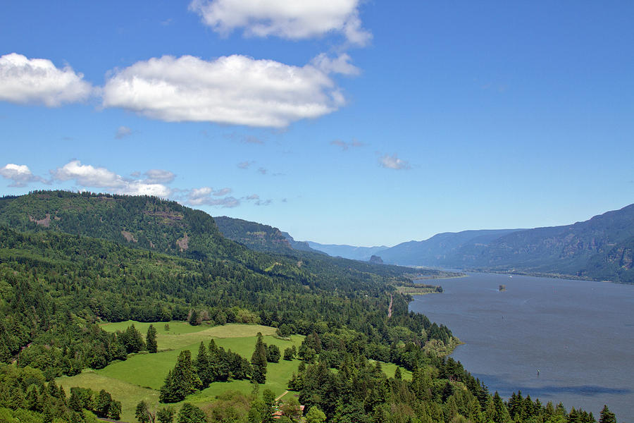 Columbia River Gorge From Cape Horn Photograph by David Gn Photography