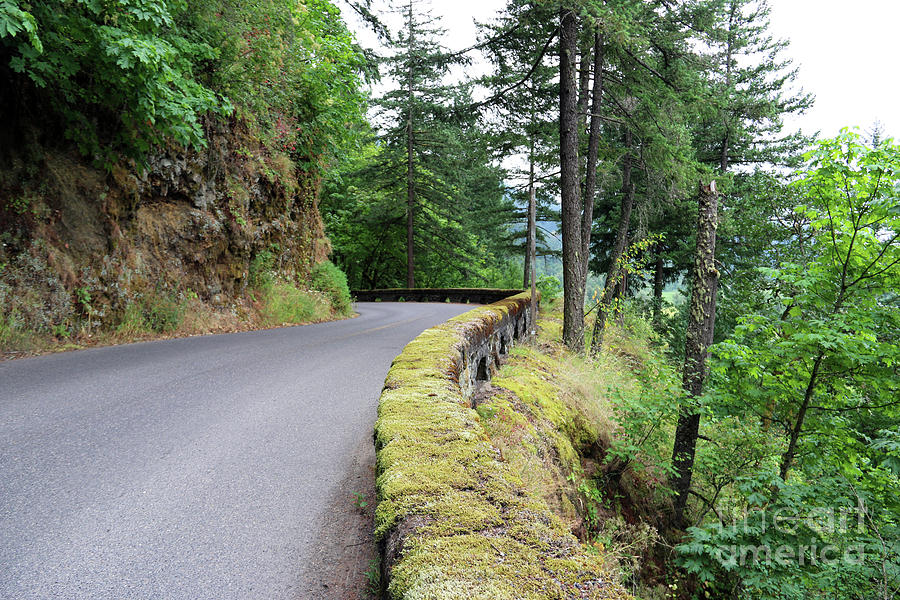 Columbia River Gorge Highway 3339 Photograph by Jack Schultz
