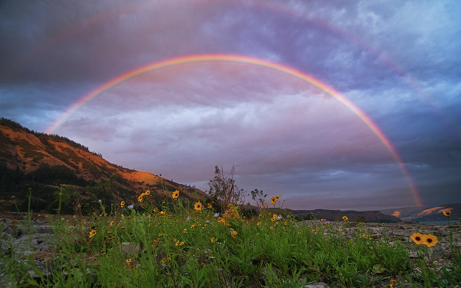 Columbia River Rainbows Photograph by Darren White Photography