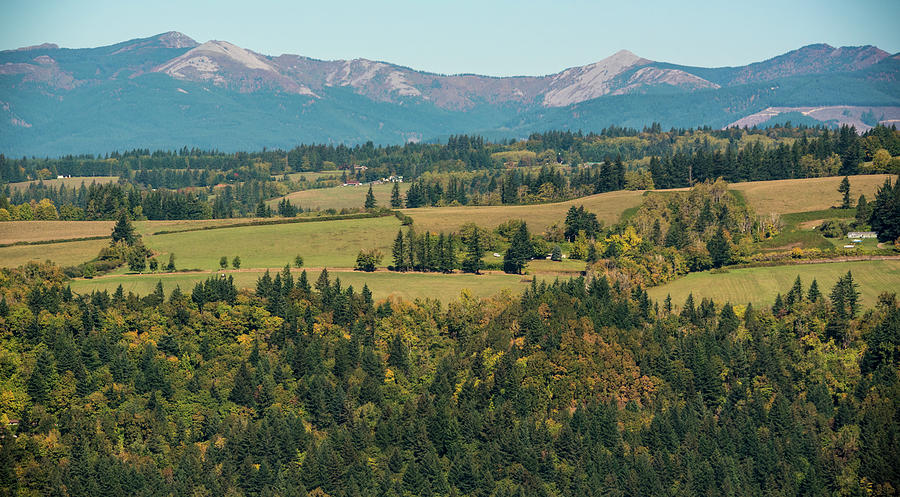 Columbia Valley Photograph by Kristopher Schoenleber