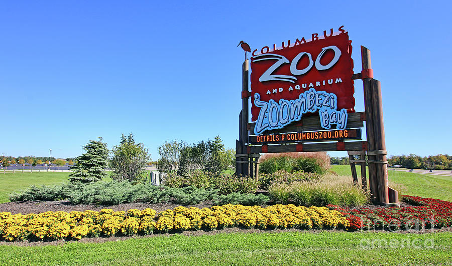 Columbus Zoo 4728 Photograph by Jack Schultz
