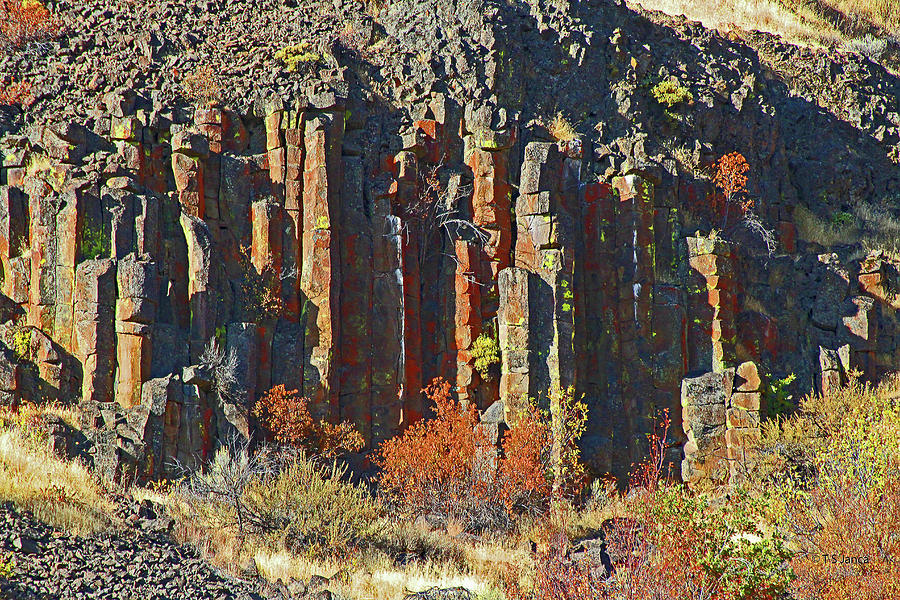 Columnar Basalt  Oregon Digital Art by Tom Janca