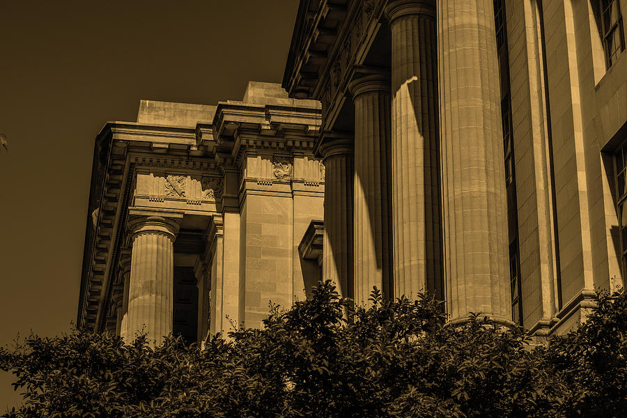 Columns In Sepia Photograph