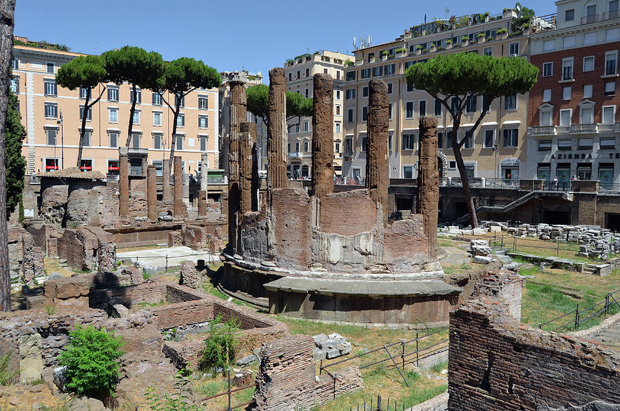 Columns of Temples A and B at Largo di Torre Argentina Archaeological Site Rome Italy Photograph by Shawn OBrien