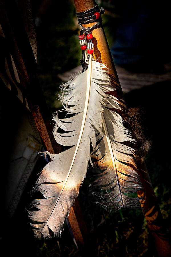 Comanche Photograph - Comanche  Feathers  by Harriet Feagin