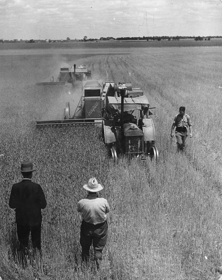 Combine Harvesting Photograph by Spencer Arnold Collection