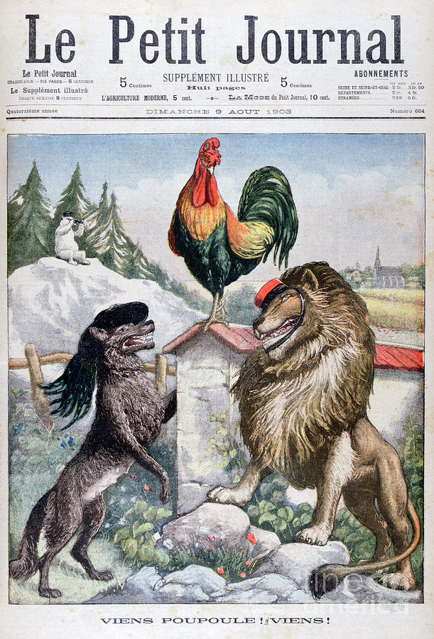 Come Cockerel, Come, 1903 Drawing by Print Collector