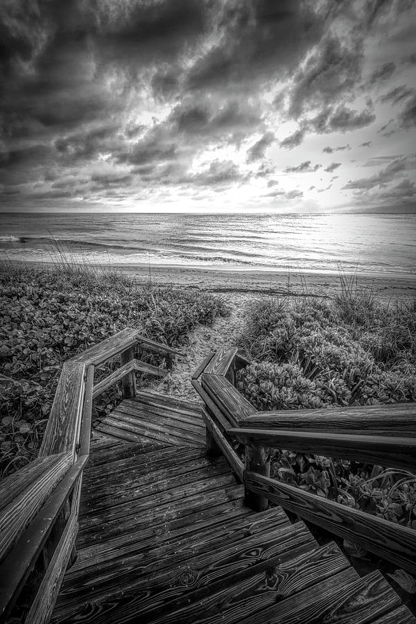 Come Down to the Sea in Black and White Photograph by Debra and Dave Vanderlaan