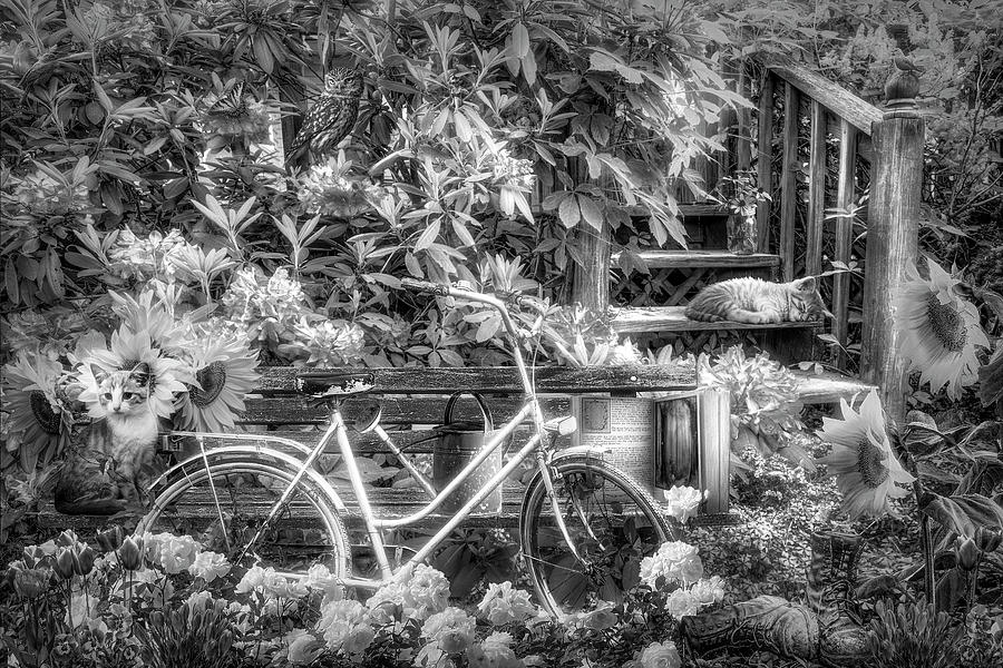 Come Play in the Garden Black and White Photograph by Debra and Dave Vanderlaan
